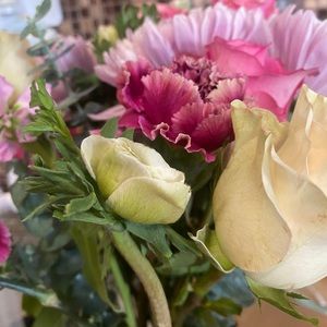 Meet your Posher, Samantha